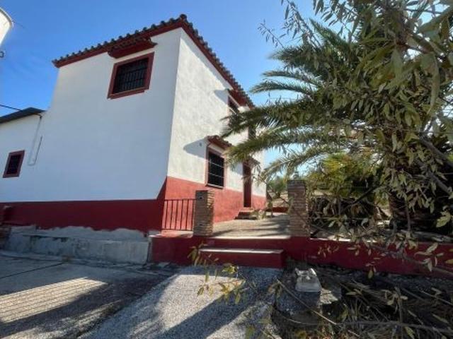 Local Comercial en venta en Espejo, Andalucía