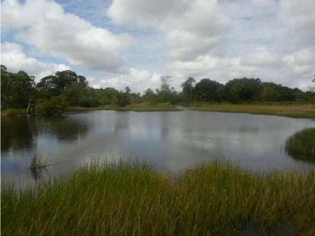 Finca en venta en Guárico