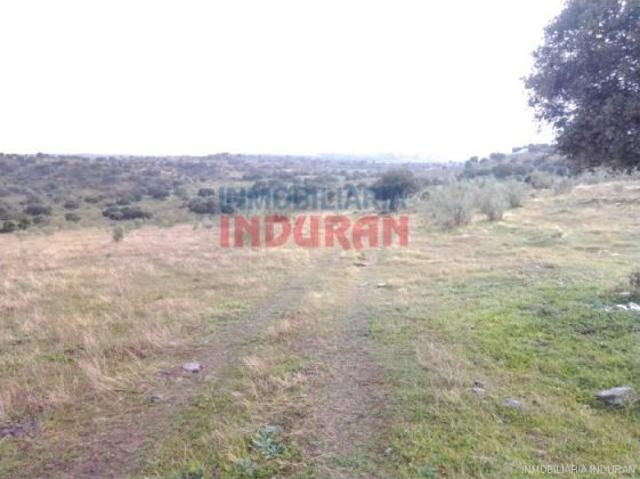Casa en venta en Villar Del Pedroso, Extremadura