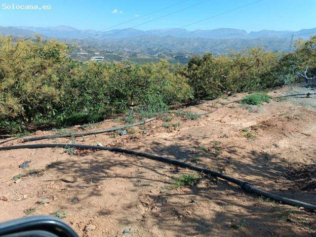 Local Comercial en venta en La Axarquía, Andalucía