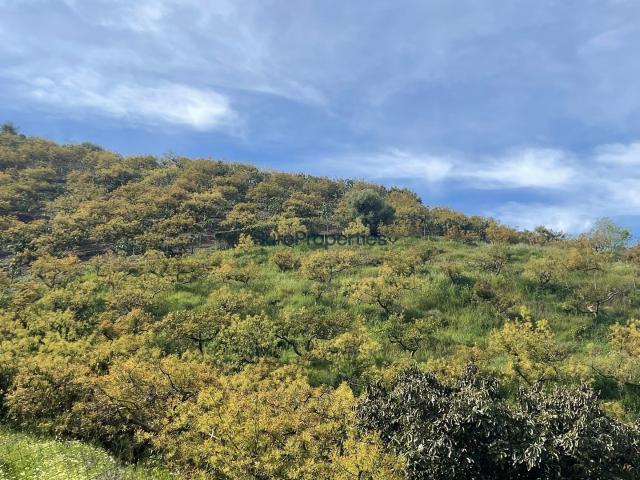 Casa Rural en venta en Los Llanos, La Axarquía