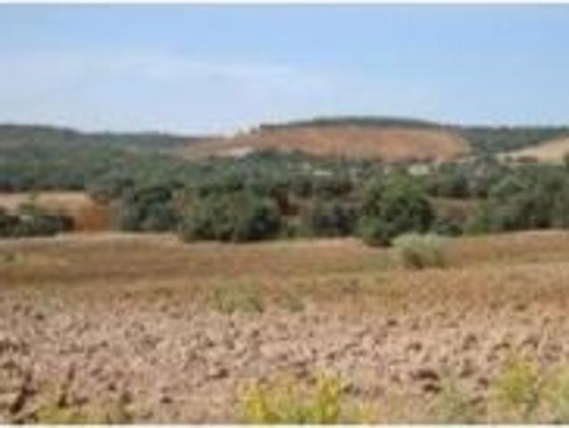 Casa en venta en Corral De Calatrava, Castilla-La Mancha