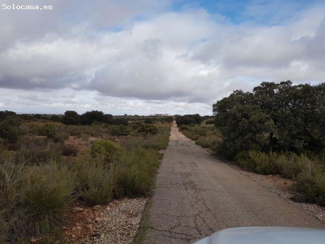 Casa en venta en Ossa De Montiel, Castilla-La Mancha