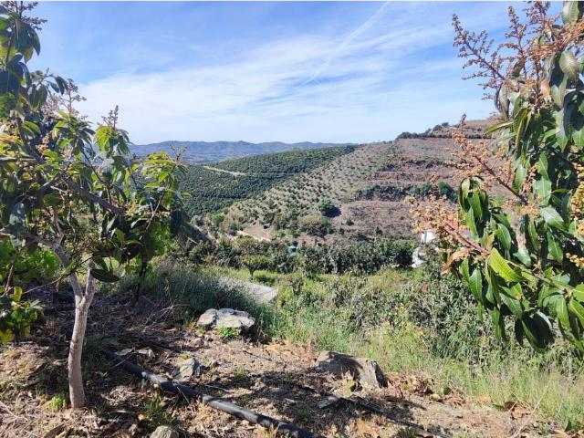 Terreno en venta en Aldea Baja, La Axarquía