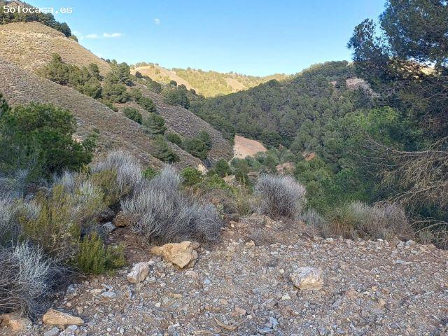 Finca en venta en Alto Guadalentín, Murcia