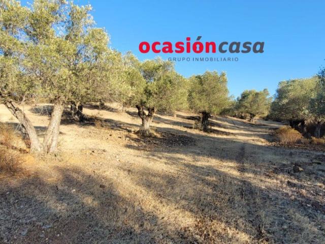 Chalet en venta en Villanueva Del Duque