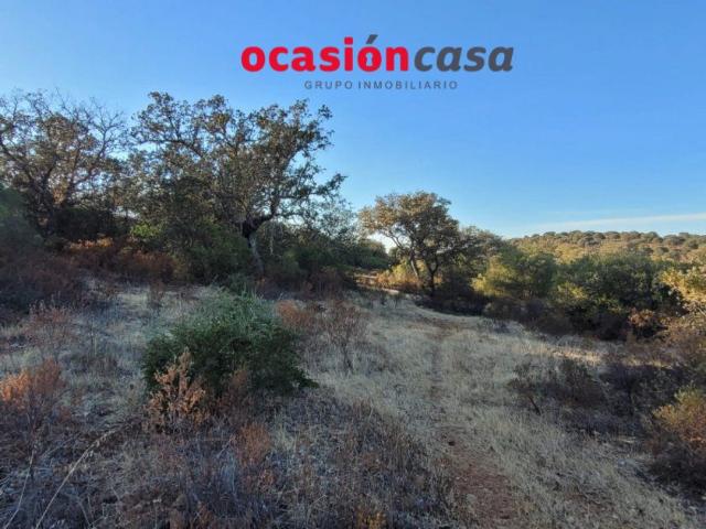 Chalet en venta en Villanueva Del Duque, Andalucía