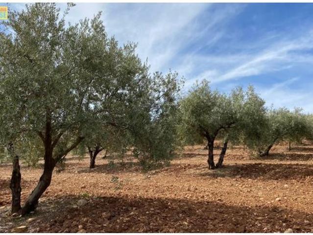 Local Comercial en venta en Baena