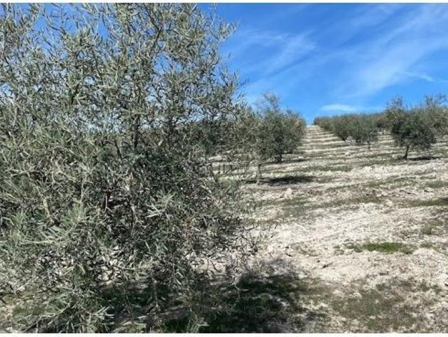 Local Comercial en venta en Luque, Andalucía