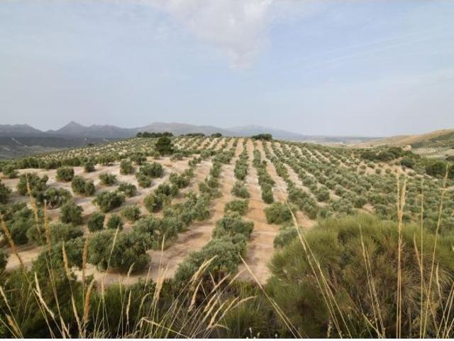 Local Comercial en venta en Comarca de Alhama, Andalucía