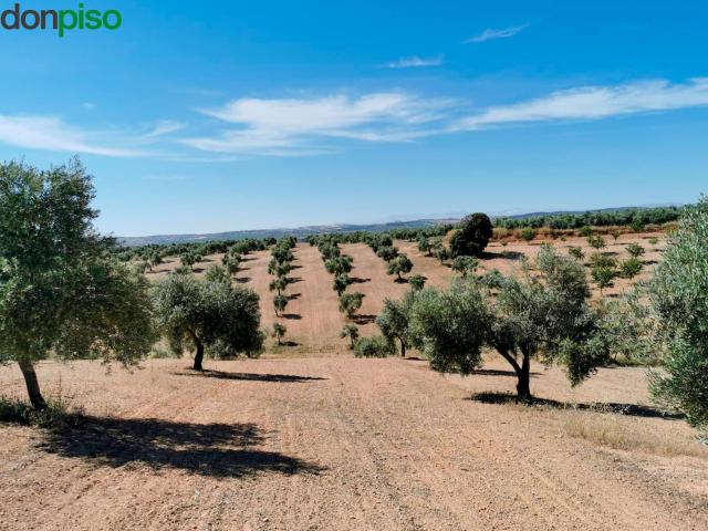 Terreno en venta en Huelma, Jaén
