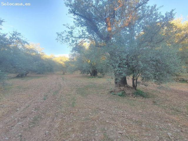 Local Comercial en venta en Fondón, Andalucía