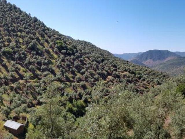 Chalet en venta en Villanueva De Córdoba, Andalucía