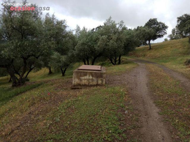 Local Comercial en venta en Villanueva De Córdoba, Andalucía