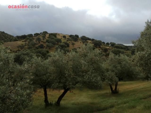 Chalet en venta en Villanueva De Córdoba, Andalucía