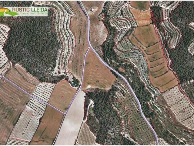 Local Comercial en venta en Urgell, Catalunya