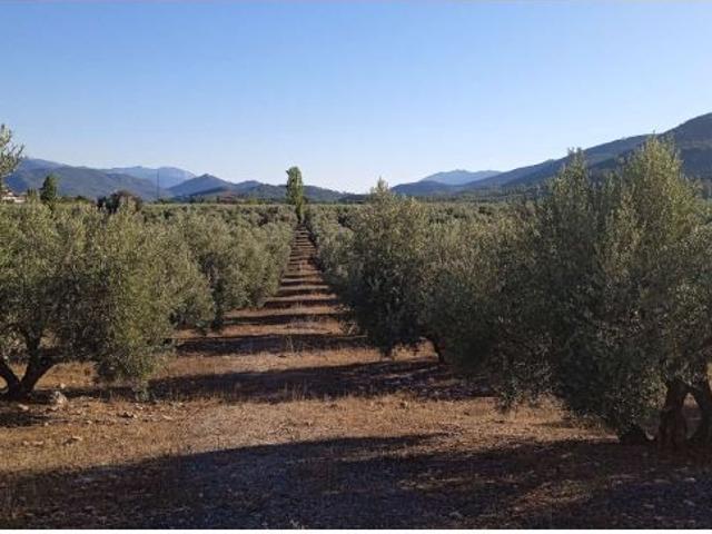 Local Comercial en venta en Segura De La Sierra, Andalucía