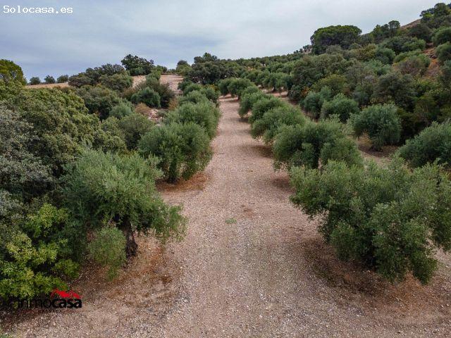 Local Comercial en venta en Comarca de Loja, Andalucía