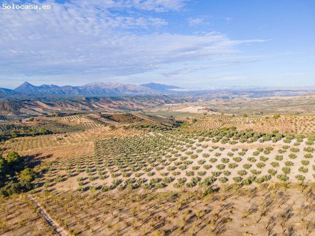 Local Comercial en venta en Comarca de Alhama, Andalucía