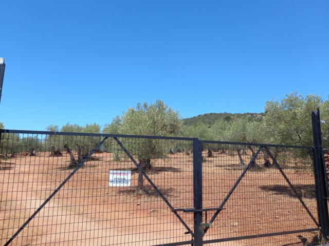 Terreno en venta en Margallo, Cáceres