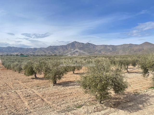 Chalet en venta en La Canal, Uleila del Campo