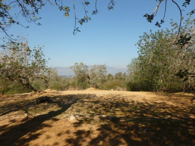 Chalet en venta en Montsià, Catalunya