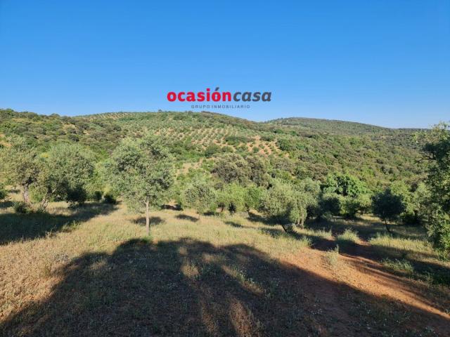 Villa en venta en Villanueva Del Rey Villa en venta en Villanueva Del Rey