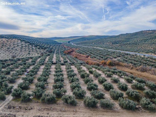 Finca en venta en Casas Bajas, Comarca de la Vega de Granada