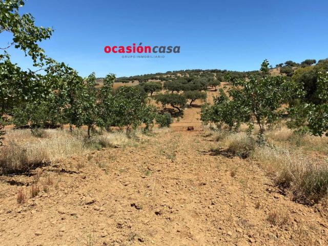 Villa en venta en Fuente Obejuna