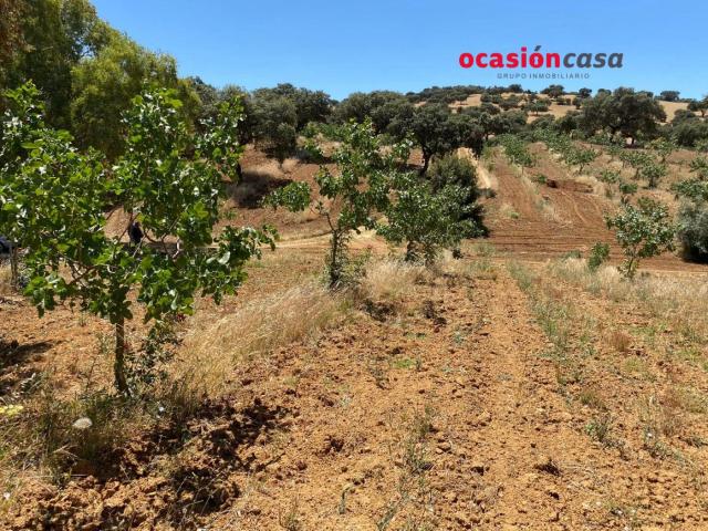 Chalet en venta en Fuente Obejuna, Andalucía
