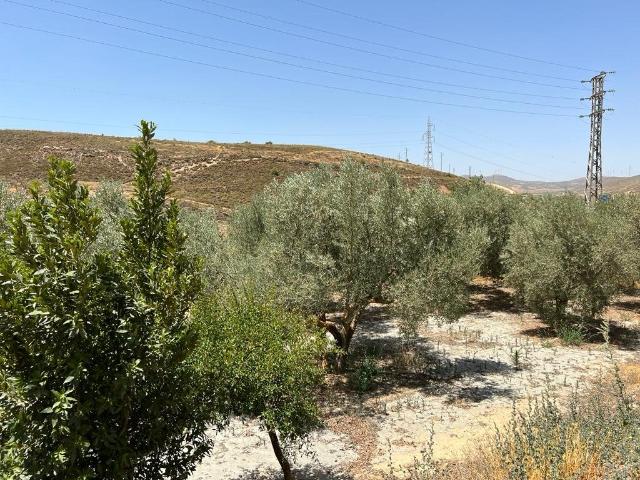 Chalet en venta en Cozvíjar, Comarca del Valle de Lecrín