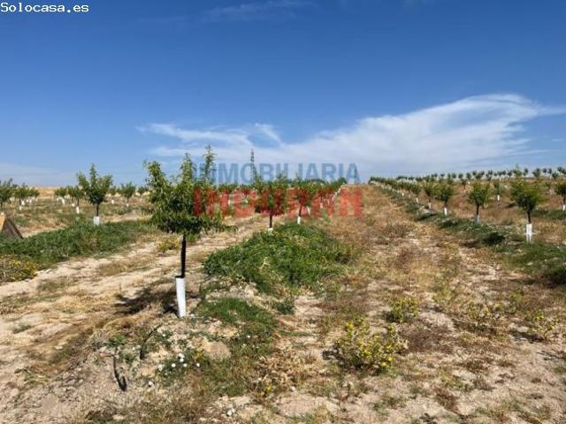 Casa en venta en Belvís De Monroy, Extremadura