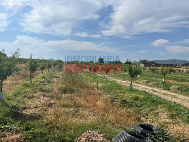 Casa en venta en Belvís De Monroy, Extremadura
