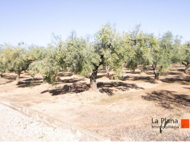 Local Comercial en venta en Montsià, Catalunya