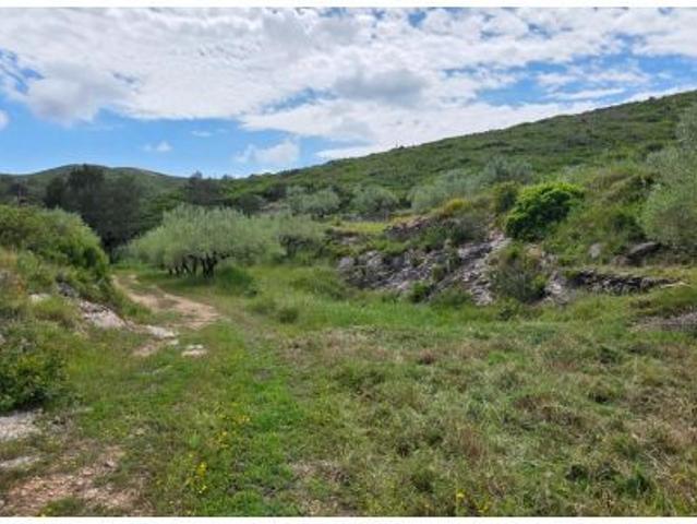 Local Comercial en venta en Baix Ebre, Catalunya
