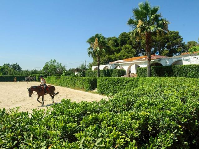Casa en venta en el Mas de Tous, el Camp de Túria