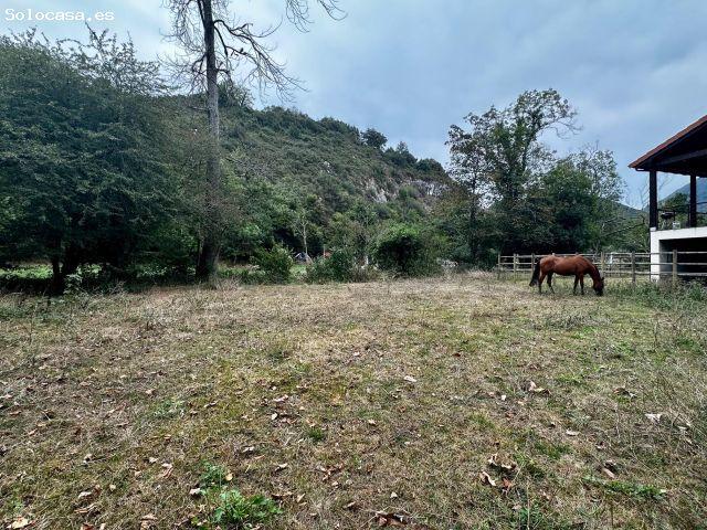 Local Comercial en venta en Cangas De Onís, Asturias