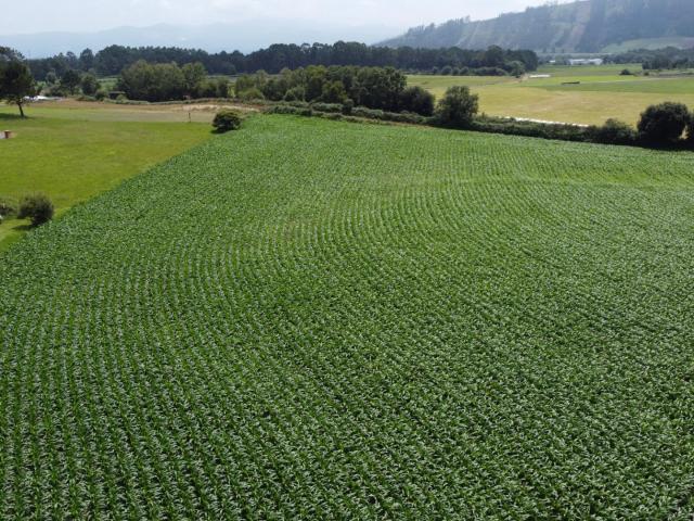 Terreno en venta en Navia, Asturias