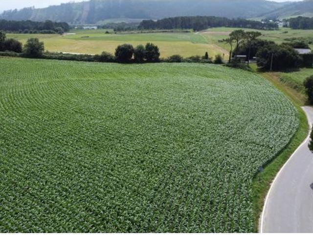 Local Comercial en venta en Navia, Asturias
