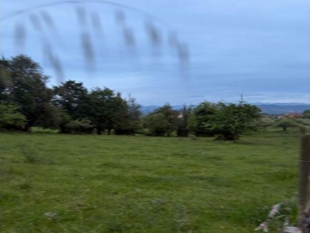 Local Comercial en venta en Pañeda Nueva, Siero