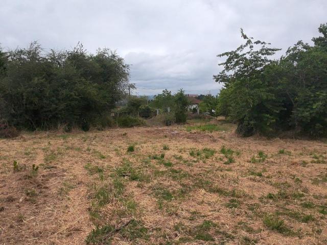 Terreno en venta en Toén, Ourense