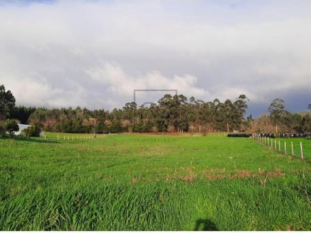 Local Comercial en venta en Lago, Ferrol