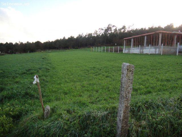 Local Comercial en venta en Ames