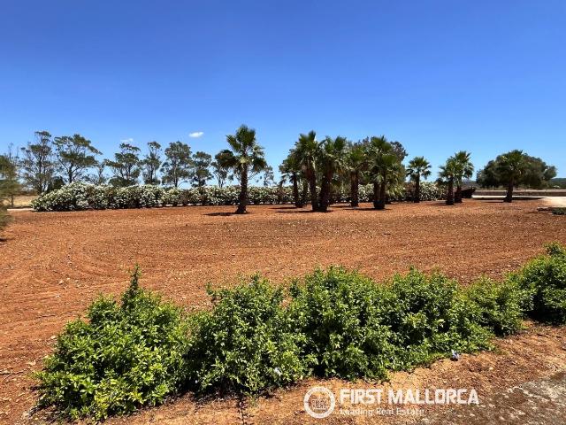Finca en alquiler en Migjorn, Baleares
