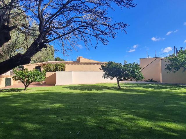 Finca en alquiler en Santa María Del Cami