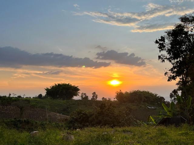 Finca En Arriendo En Filandia A93022