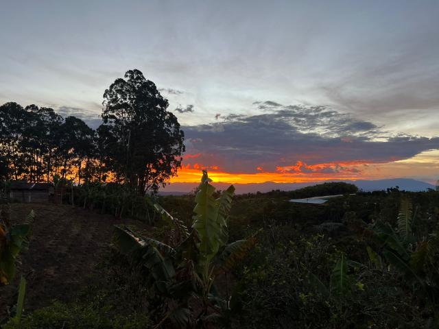 Finca En Arriendo En Filandia A93022