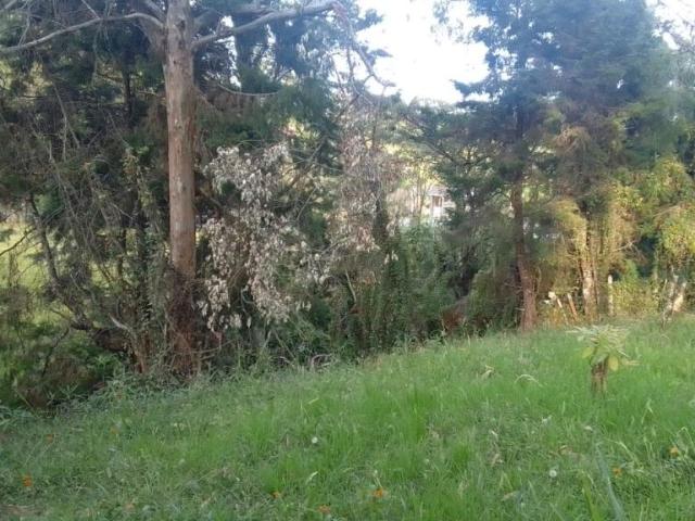 Finca en arriendo en Antioquia, Guarne