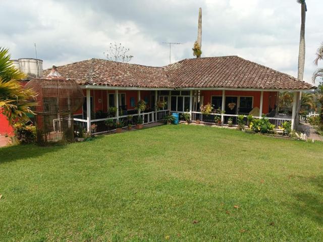 Finca En Arriendo En La Cumbre En La Ventura La Cumbre A277249
