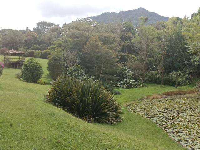 Finca En Arriendo En La Union En Via La Ceja La Union A360190